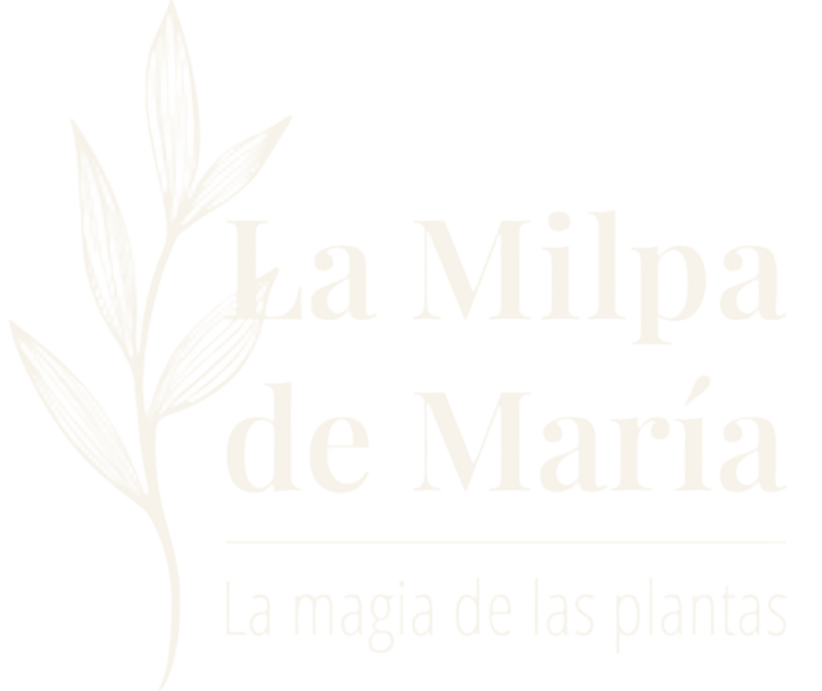 La Milpa de María